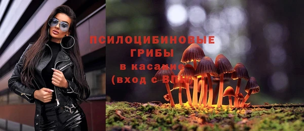 эйфоретик Волосово