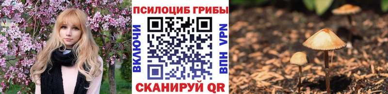 Псилоцибиновые грибы Magic Shrooms  Берёзовка 